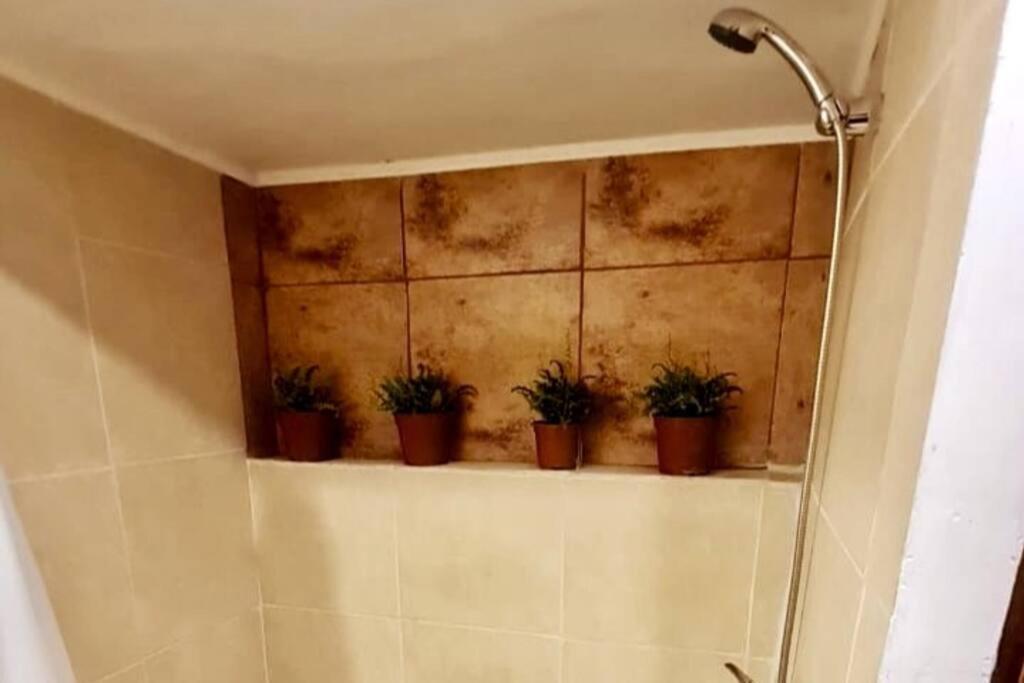 Espacio Borde Rio, Casa Pisqu Apartamento